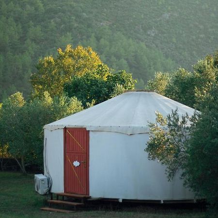 Yol Glamping Hotell Kayakoy Exteriör bild